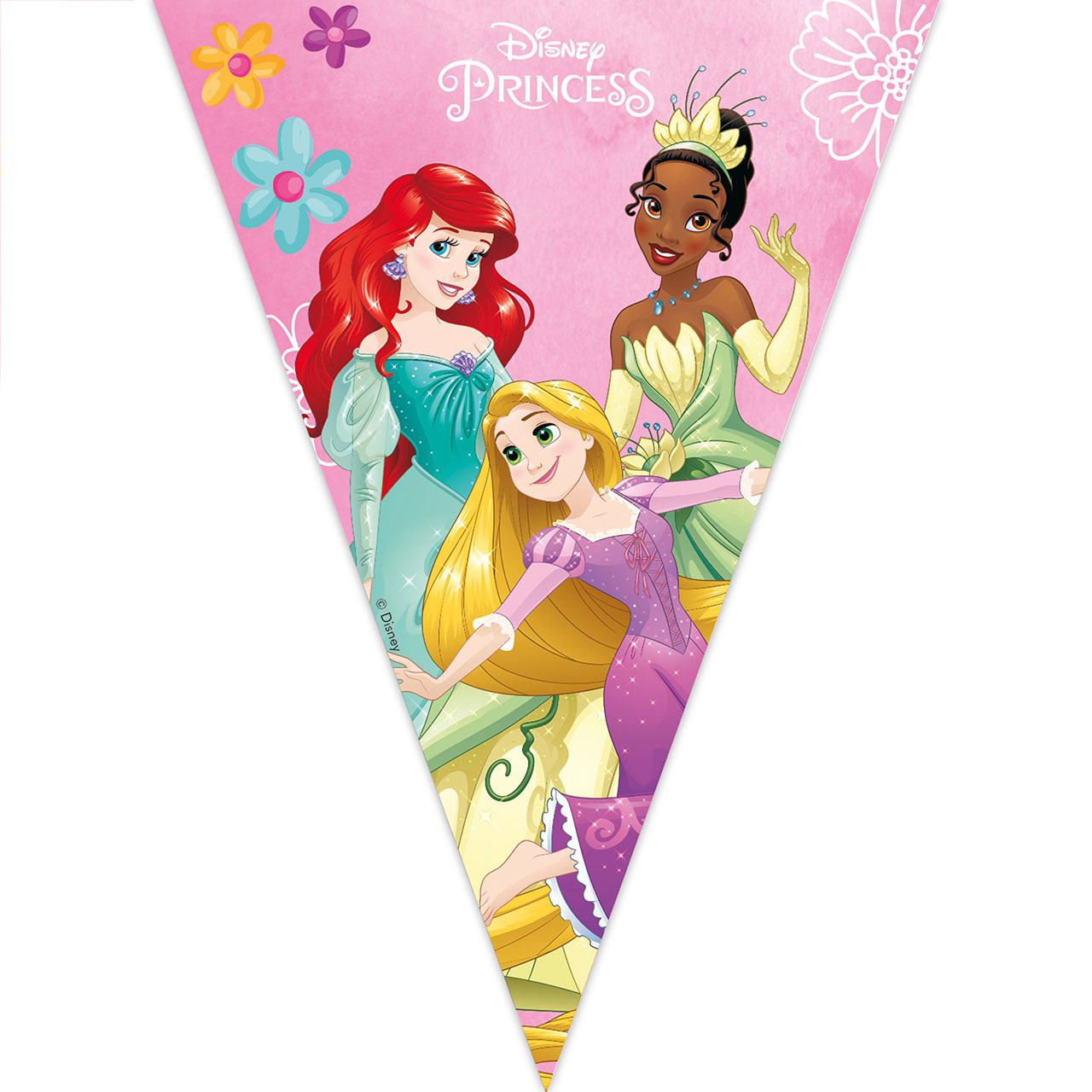 Disney Princesses Flag Banner