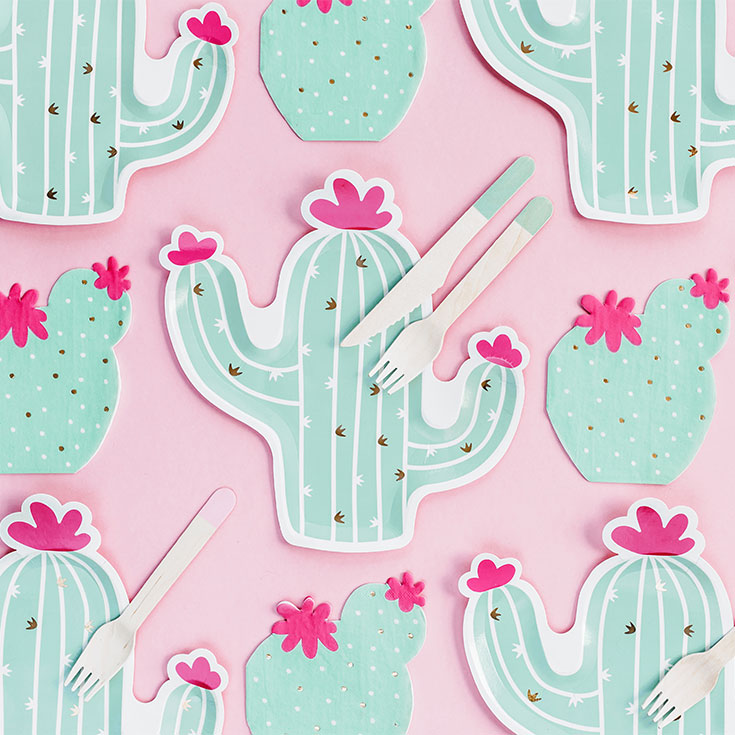 6 geformte Teller Kaktus