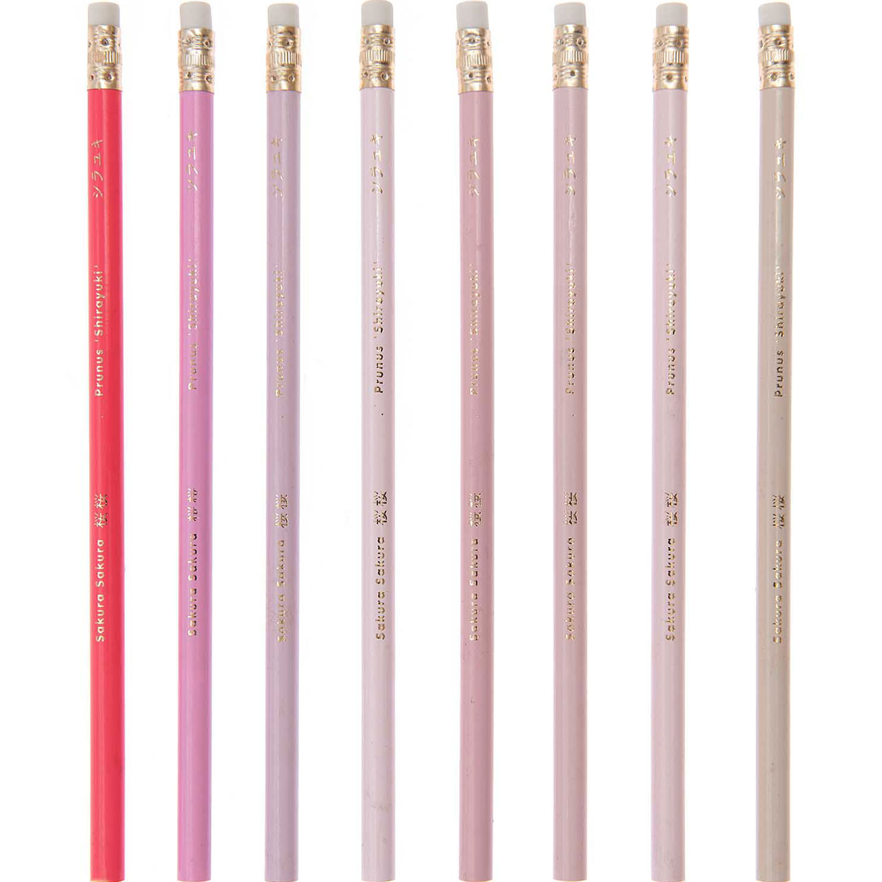 Pencils - Pretty Pink Mix