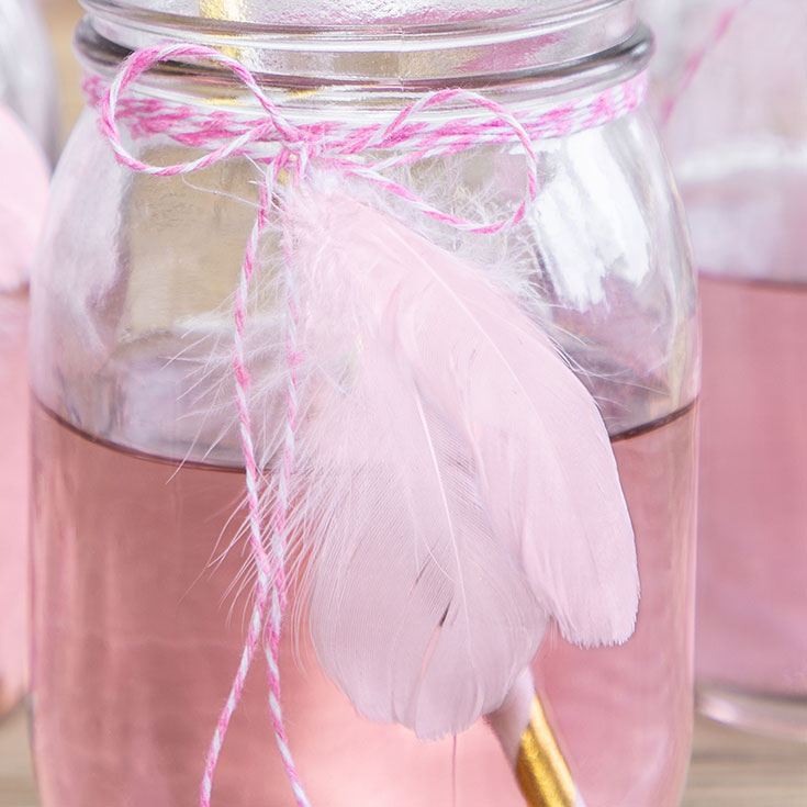 Decorative Pastel Pink Feathers