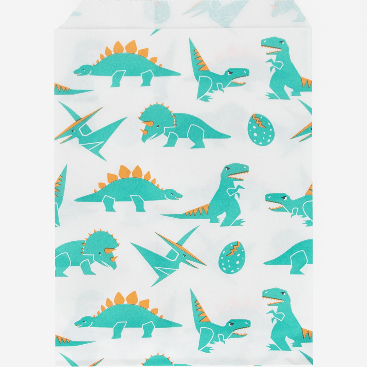 10 Dino Party Bags