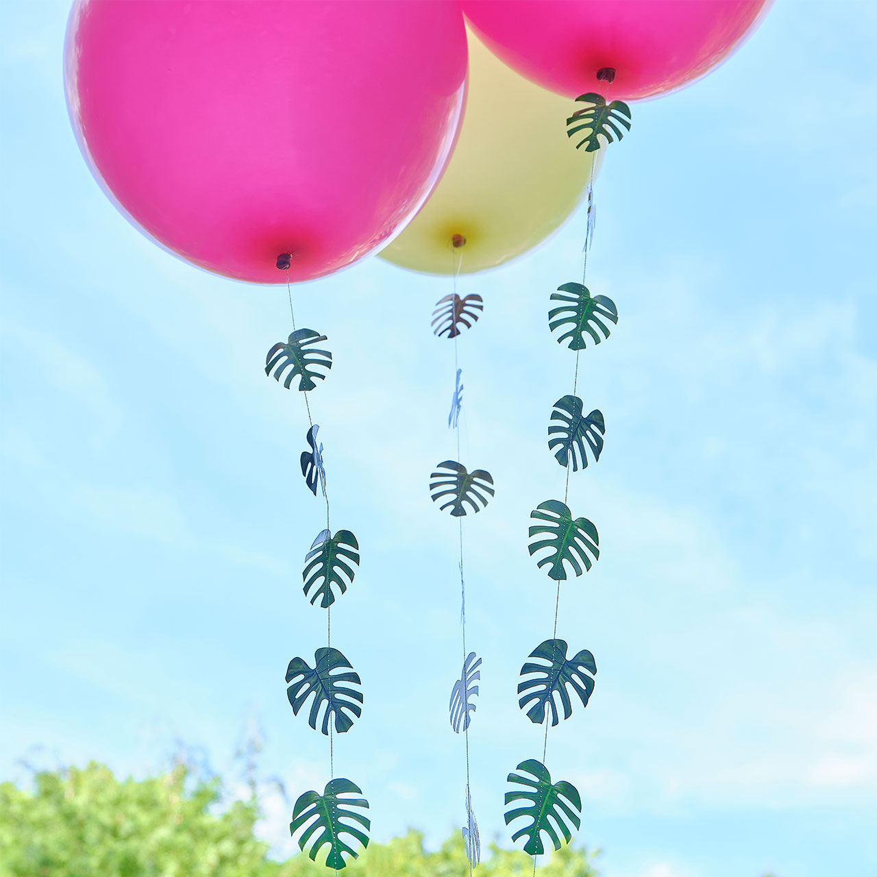 Ballonschnüre - Palmblätter