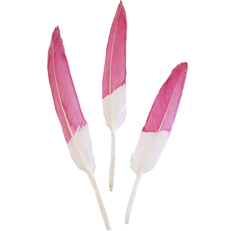 10 Pink Tipped Feathers