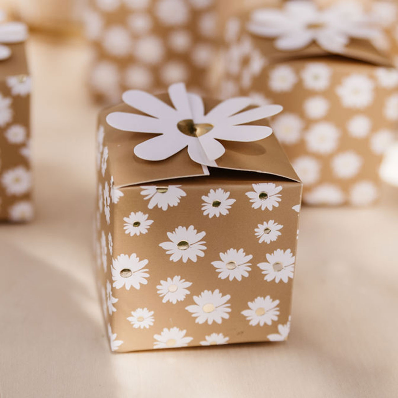 Party Boxes - Daisies
