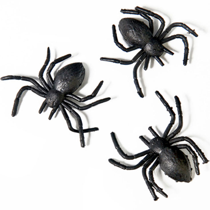 10 schwarze Spinnen