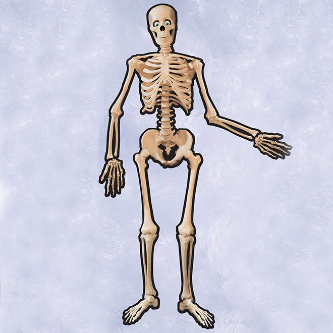 Hanging  - Skeleton Cut-Out