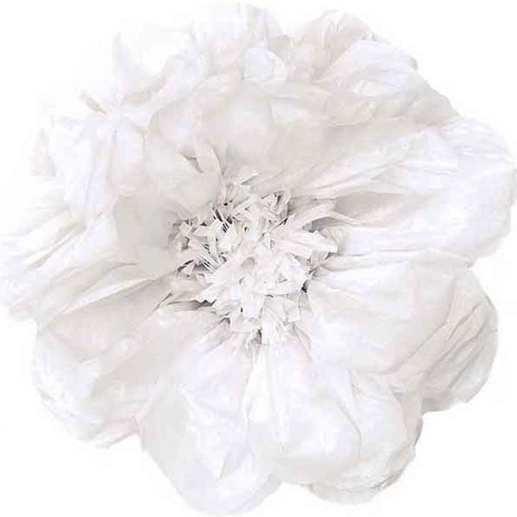 Pompom - White Flowers