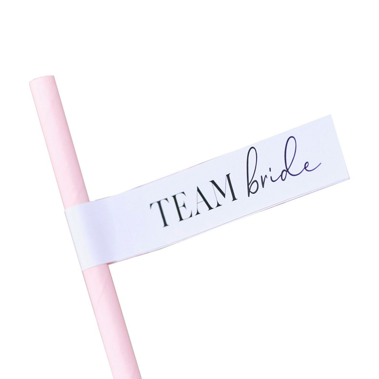 Drinking Straws - Pink & Black Team Bride