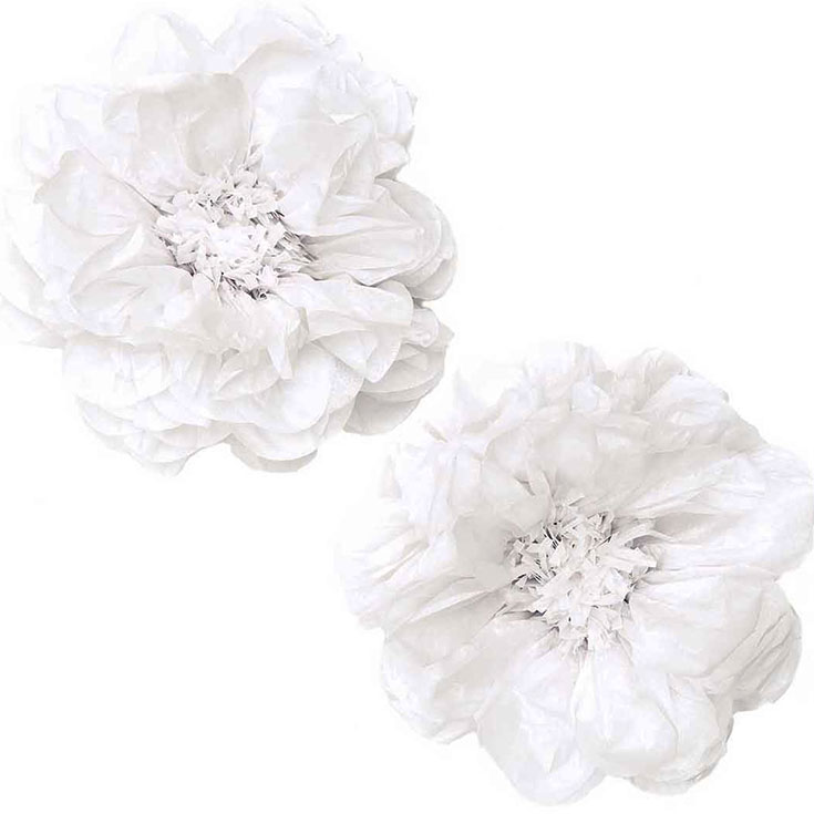2 weiße PomPom Blüten