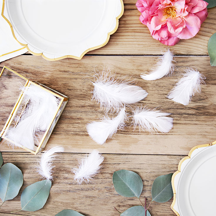 Decorative White Feathers