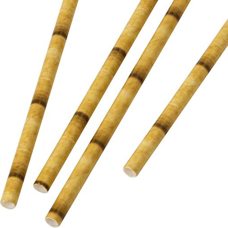30 Trinkhalme Bambus