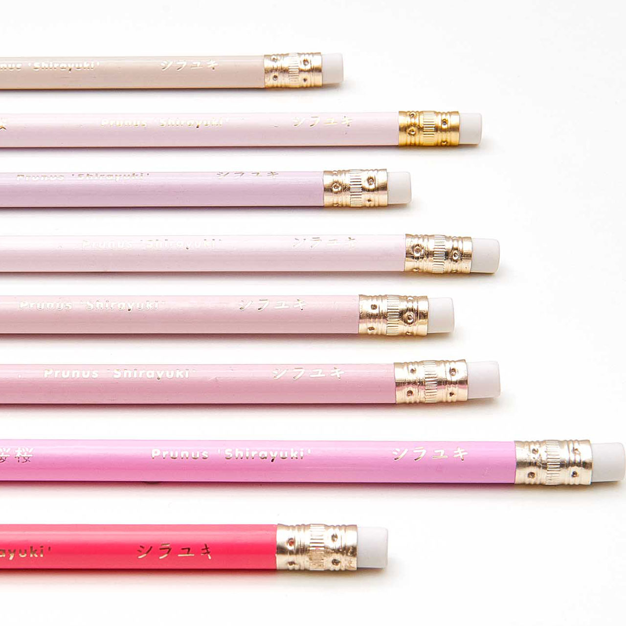 Pencils - Pretty Pink Mix