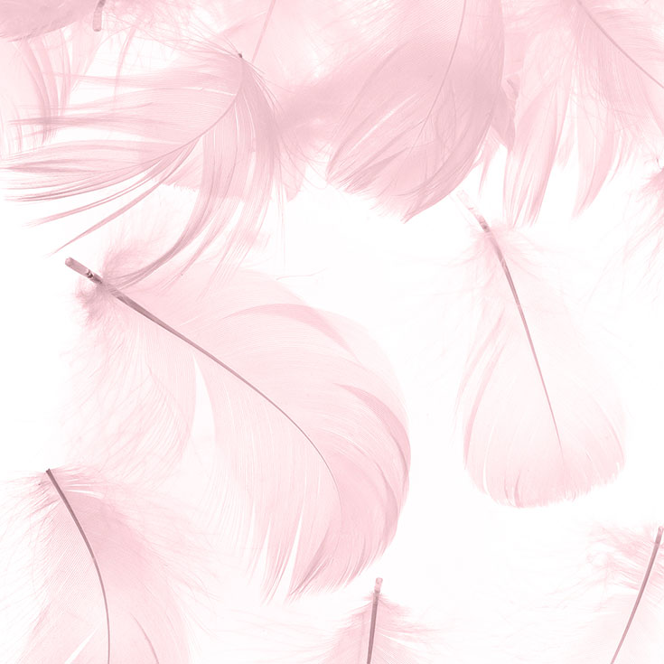 Decorative Pastel Pink Feathers