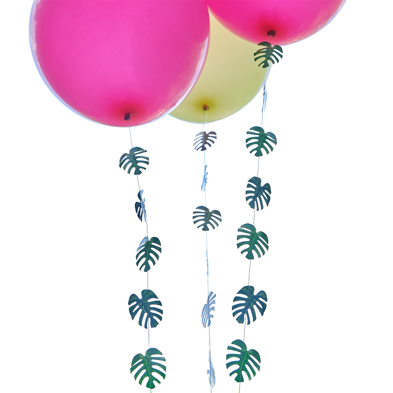 Ballonschnüre - Palmblätter