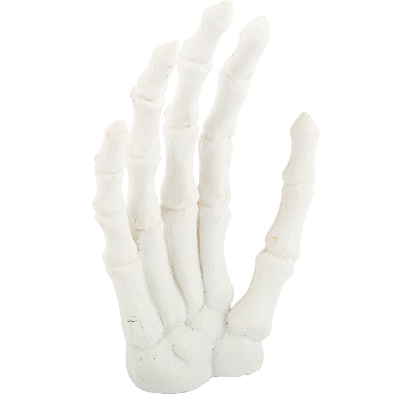 Dekoration - Weiße Skelett Hand