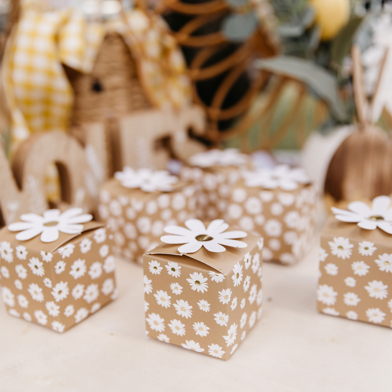 Party Boxes - Daisies